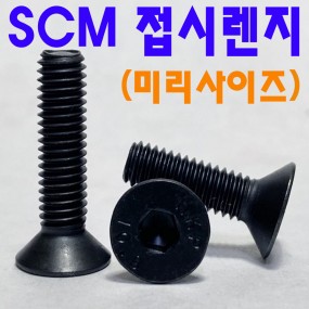 SCM 접시렌지볼트