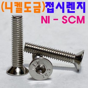 니켈 SCM 접시 렌지볼트