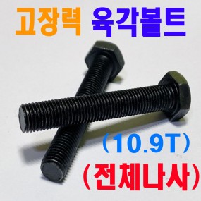 열처리육각볼트 10.9T (전체나사)