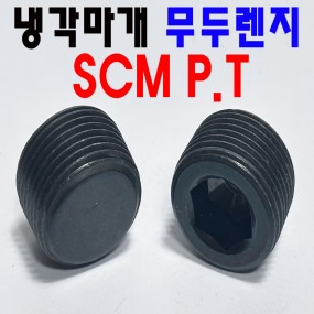 (SCM) P.T 무두렌지볼트