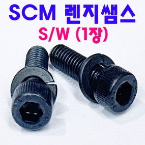 ( SCM ) 렌지쌤스 1장 S/W